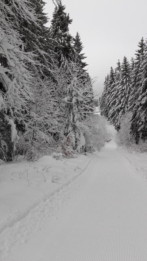 Haus Tippe Διαμέρισμα Braunlage Εξωτερικό φωτογραφία
